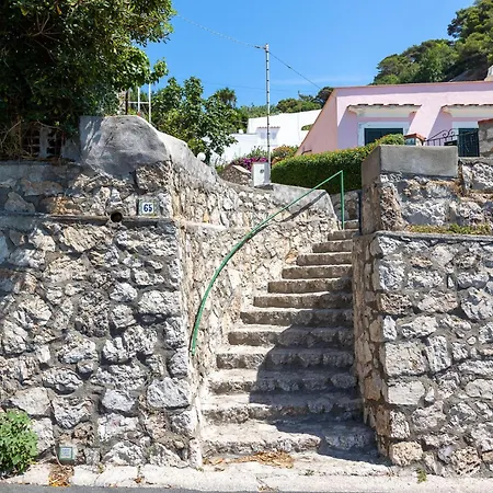 Lilium Luxury Apartament *