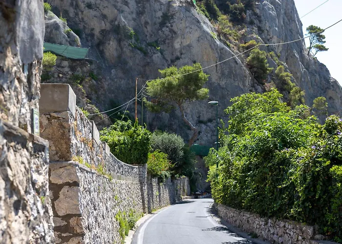 Lilium Luxury * Capri