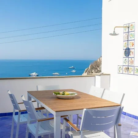 Lilium Luxury 卡普里